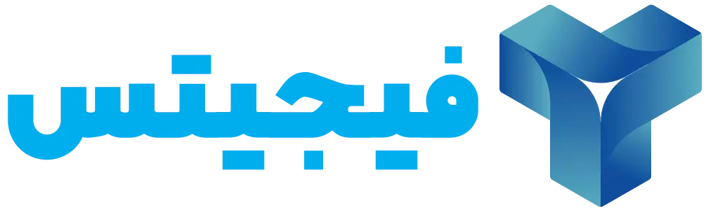 فیجیتس